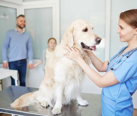 veterinary-checkup-2021-09-24-03-36-28-utc